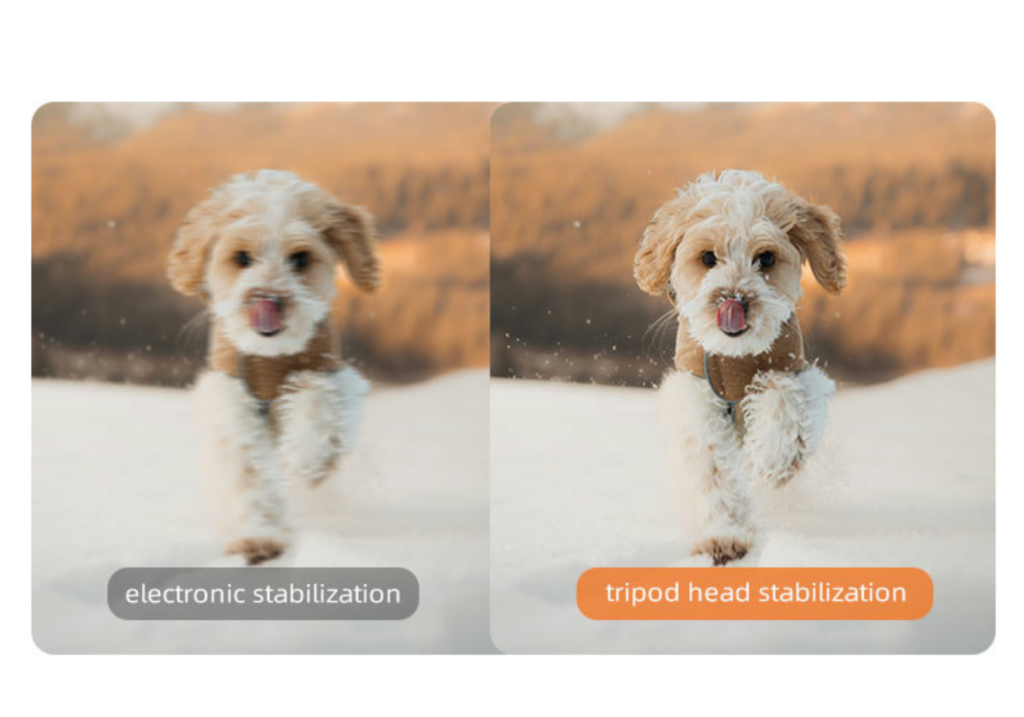 ORDRO M5 Stabilize